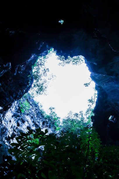 bottom view of mystic ancient cave entrance with tropical plants against white sky. - phraya nakhon cave imagens e fotografias de stock