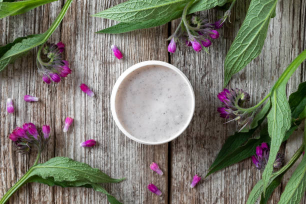 A jar of comfrey root ointment with fresh blooming symphytum officinale