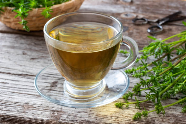 istock A cup of bedstraw tea with fresh bedstraw twigs 1150309804