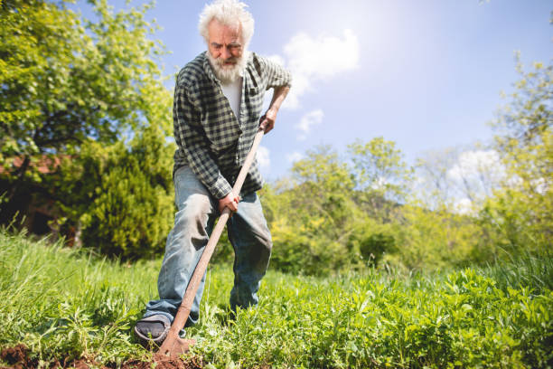 istock Hard working farmer shoveling on his farm 1150309875