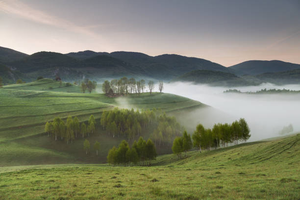 istock Spring sunrise near the forest 1150311401