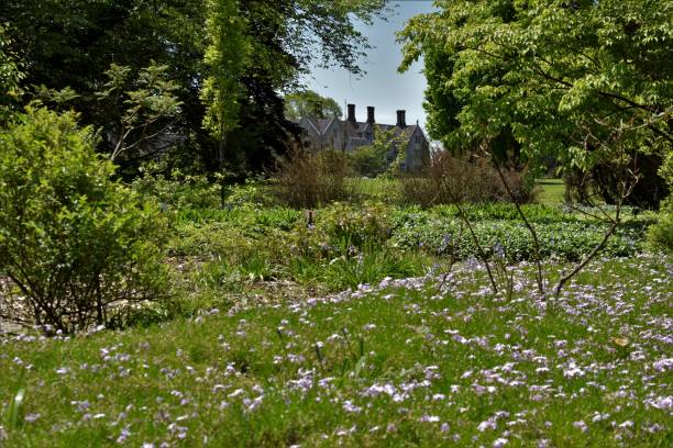 istock House in the meadow 1150311565