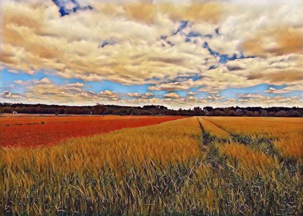 istock PHoTo-ART   farmerscape 1150312371