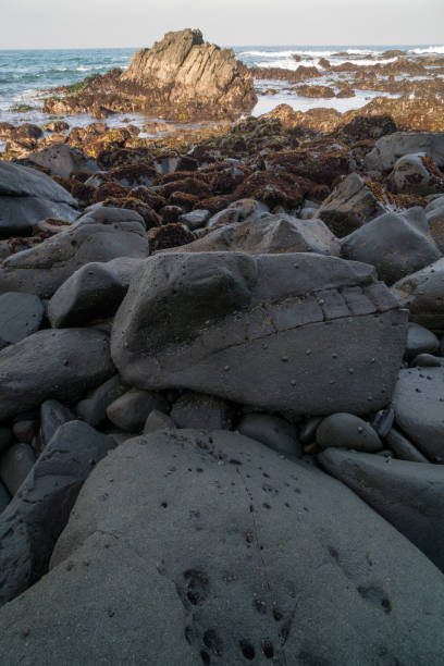 istock massive boulders exposed by low tide. 1150312433