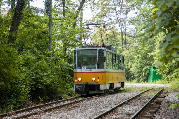 istock Train travels through thick green forest 1150315174