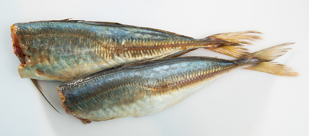 Fresh eviscerated Atlantic horse mackerel on white surface