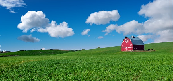 Beautiful red barn with green field and blue sky with clouds