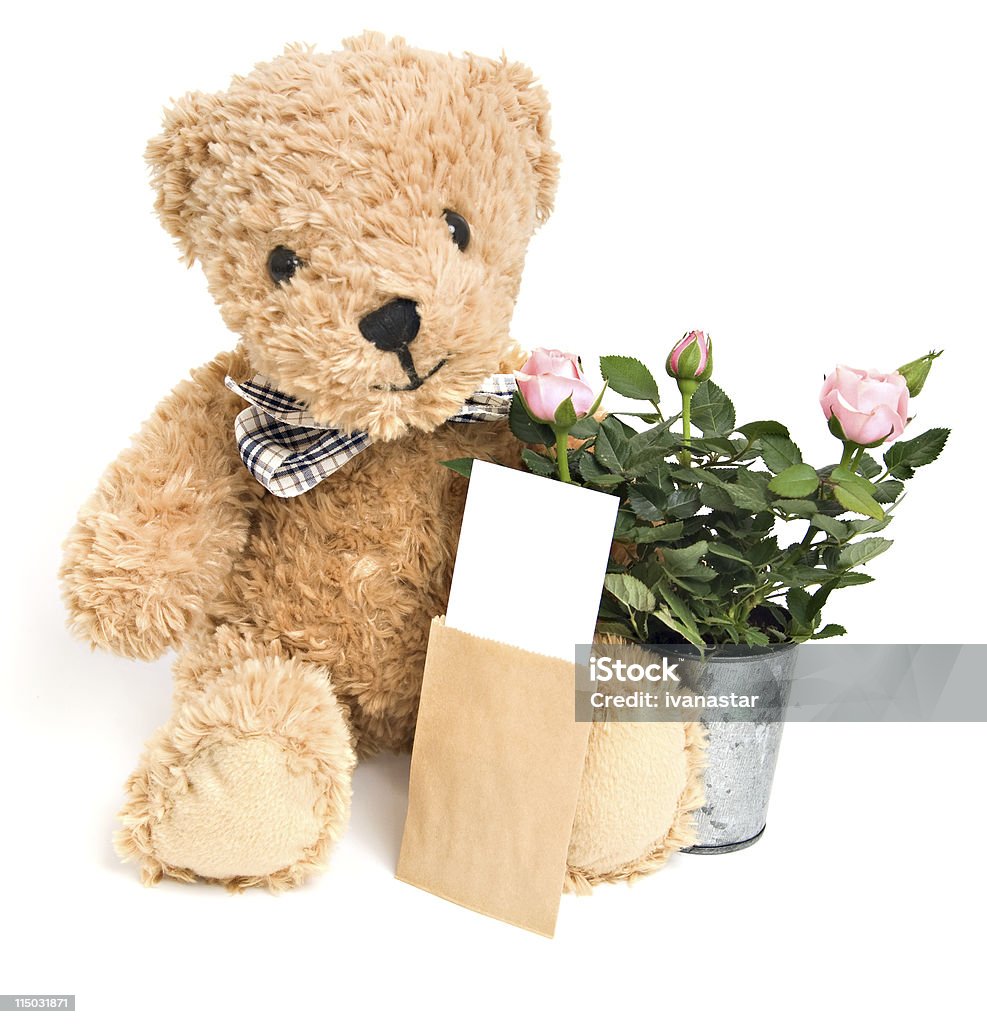 Valentino orsacchiotto con fiori e carta vuoto isolato - Foto stock royalty-free di Amore