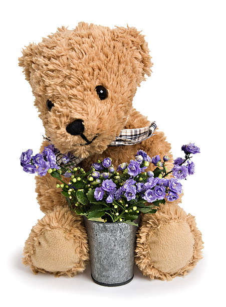 istock Teddy Bear with Happy Smiling Face Holding Flower 115031891