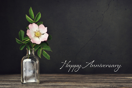 https://media.istockphoto.com/id/1150321605/photo/happy-anniversary-card-dog-rose-flower-in-vase-on-dark-grunge-background.jpg?b=1&s=170667a&w=0&k=20&c=AySd1CfaMR3QPABZl79YHpENF1HJbEVXwWcvj5S-qpA=