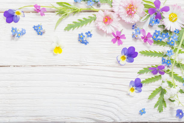 istock beautiful flowers on wooden background 1150322734