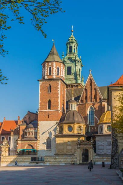 クラクフポーランドのヴァヴェル城大聖堂 - steeple spire national landmark famous place ストックフォトと画像