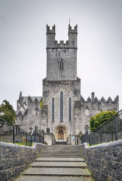 istock St Mary's Cathedral, Limerick, Ireland 1150324407