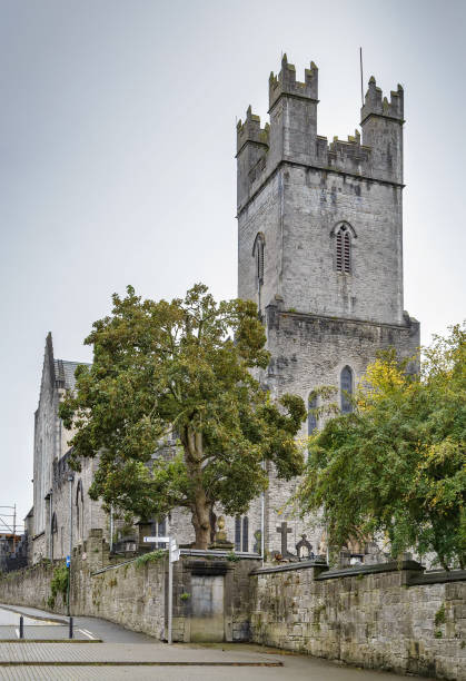 istock St Mary's Cathedral, Limerick, Ireland 1150324425