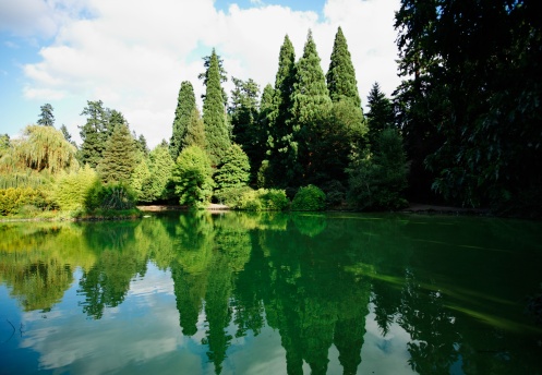 Nature in the City - a park like setting based upon the Olmsted Plan - landscaping at the turn of the 20 century