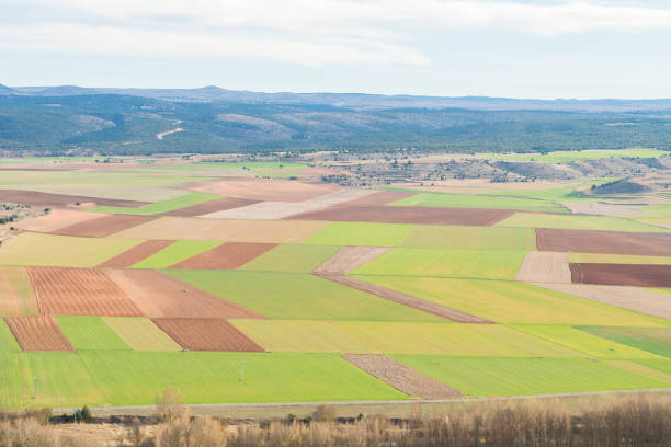 istock aerial view of colorful field parcels 1150332174