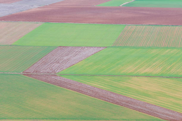istock aerial view of colorful field parcels 1150334065