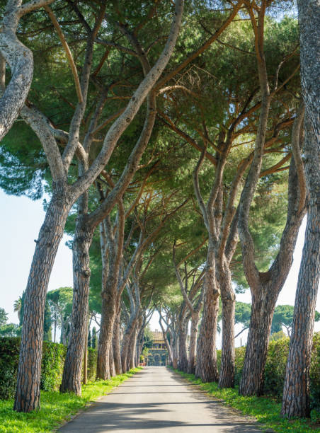 istock The ancient Appian Way (Appia Antica) in Rome. 1150337439