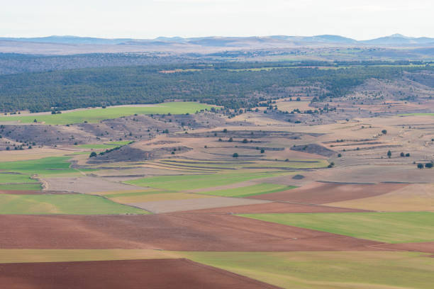 istock aerial view of colorful field parcels 1150338480