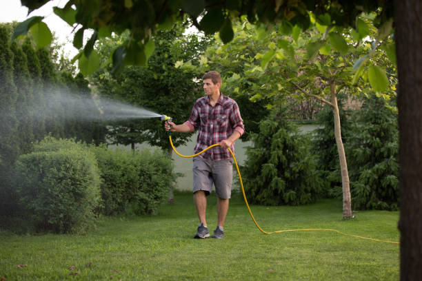 istock Man spraying plants in courtyard 1150339953