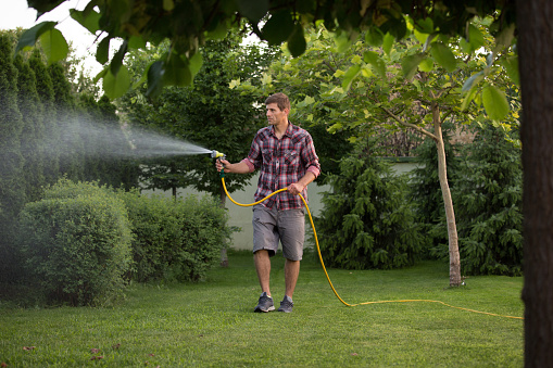 Gardener holding hand hose sprayer and watering plants in garden