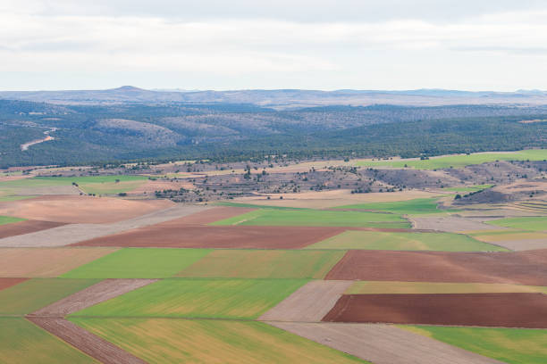istock aerial view of colorful field parcels 1150340964