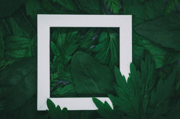 istock Creative layout made of forest (field) grass with white wooden frame. Modern ecological natural concept 1150341473
