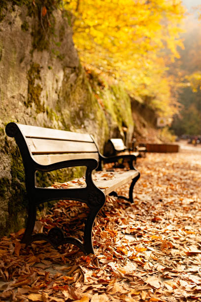 istock autumn leaves and bokeh bench 1150345092