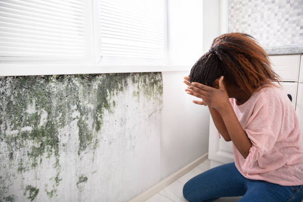 istock Shocked Woman Looking At Mold On Wall 1150345508