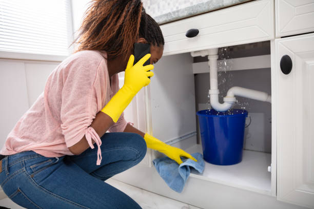 istock Woman Placing Bucket Under The Sink Pipe 1150345510
