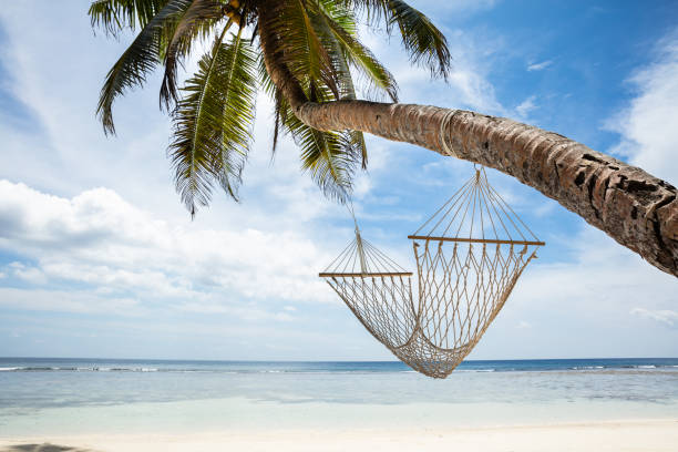 Close-up Of Hammock Hanging On Anse Baleine Beach, Mahe Island, Seychelles