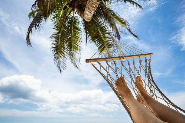 istock Woman's Feet On Hammock Hanging On Palm Tree 1150346284