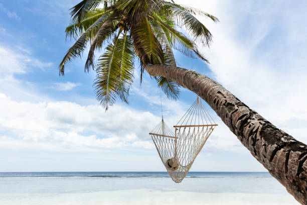 istock Anse Baleine Beach, Mahe Island, Seychelles 1150346329