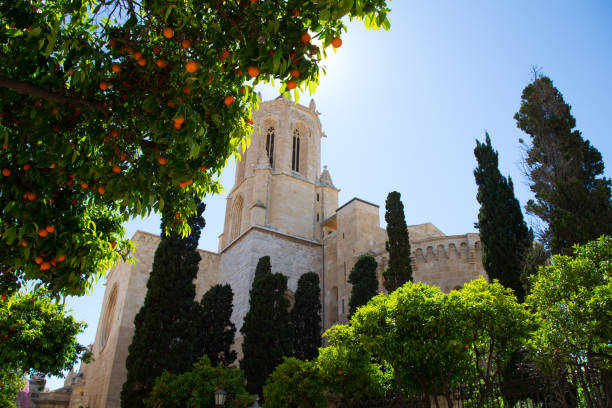 Cathedral of Tarragona stock photo