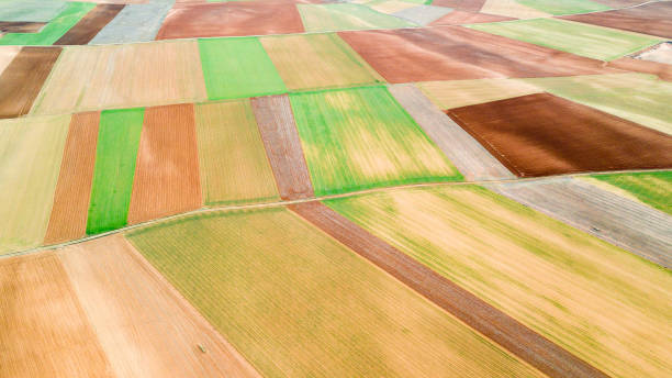 istock aerial view of colorful field parcels 1150348216