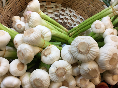 Fresh organic bunch of garlics in a wicker basket