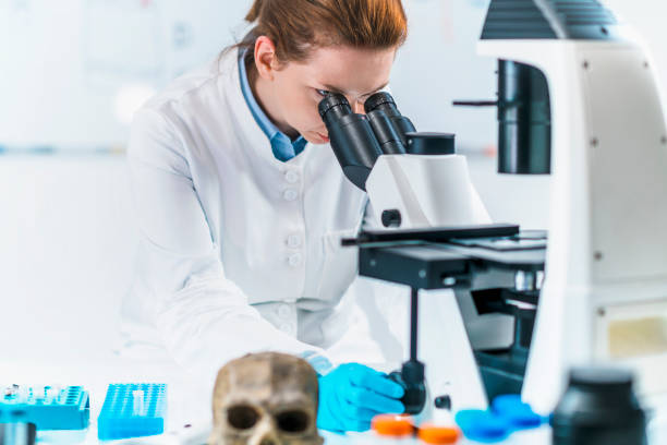 istock Ancient DNA Analysis. Portrait of a Female Archaeologist with Microscope 1150349329
