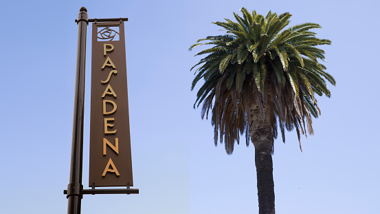 Pasadena Sign and Palm Tree