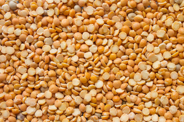 dry split yellow peas background. healthy vegetarian or vegan food texture. - lentil full frame macro close up imagens e fotografias de stock