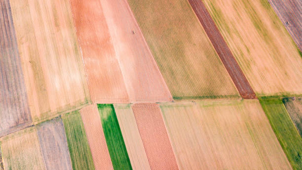 istock aerial view of colorful field parcels 1150351505