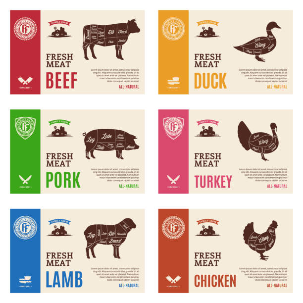 ilustrações, clipart, desenhos animados e ícones de etiquetas da carne e das aves domésticas do vetor - pig pork ham meat