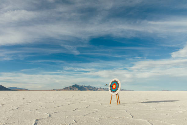 istock Arrows in Bulls-Eye of the Target 1150352646
