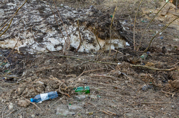 istock environmental problems, urban pollution, low level of environmental education 1150353094