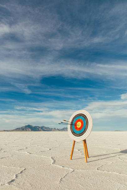 istock Arrows in Bulls-Eye of the Target 1150353723