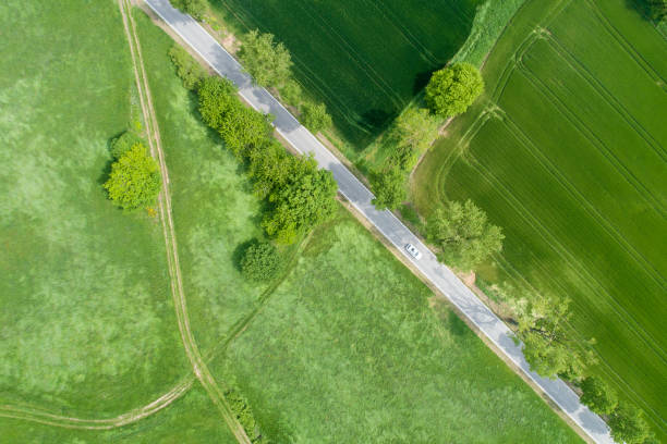 istock Road through agricultural area - aerial view 1150359516