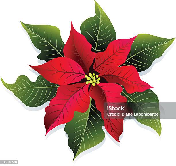 Poinsettia De Noël En Rouge Et Vert Fleur Illustration Vectorielle Vecteurs libres de droits et plus d'images vectorielles de Couleur verte