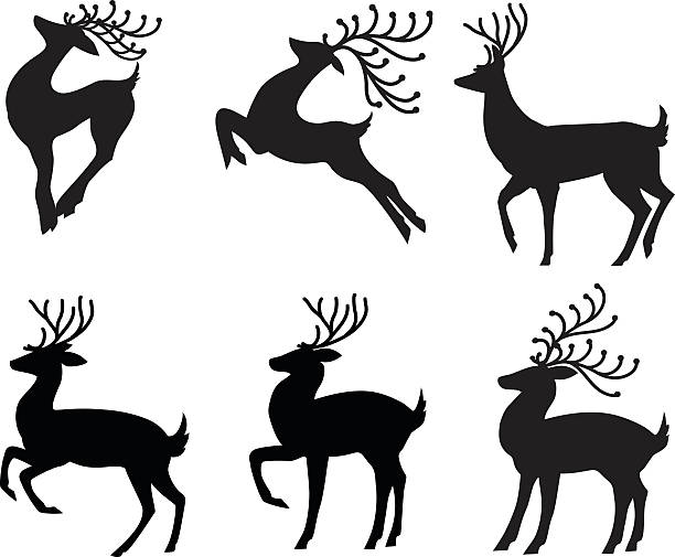 ilustraciones, imágenes clip art, dibujos animados e iconos de stock de fotografías estilizadas y reno juego de seis diferentes poses en silueta negra - deer portrait