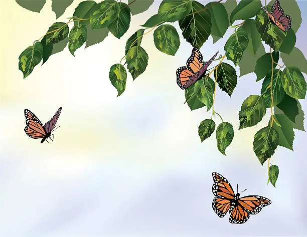Vector illustration of Birch Tree with Monarch Butterflies