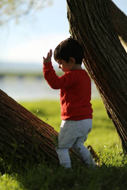 istock A happy toddler boy hiding behind tree outside in spring nature. 1150372879