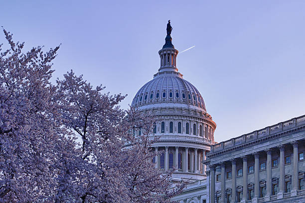 istock Sunrise behind the dome of Capitol in DC 115037394